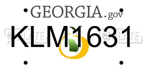 KLM1631 Georgia License Plate
