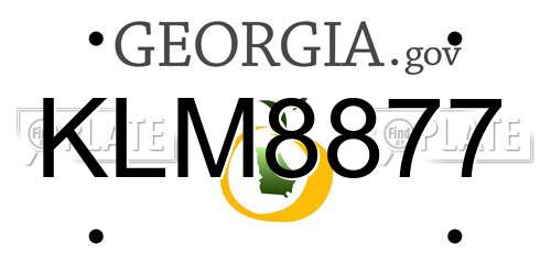 KLM8877 Georgia License Plate
