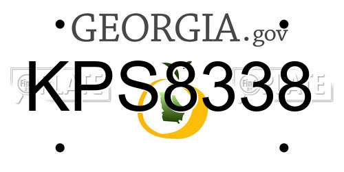 KPS8338 Georgia License Plate