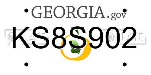 KS8S902 Georgia License Plate