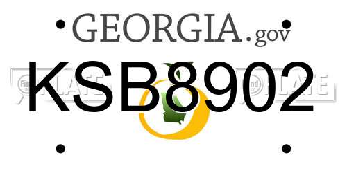 KSB8902 Georgia License Plate