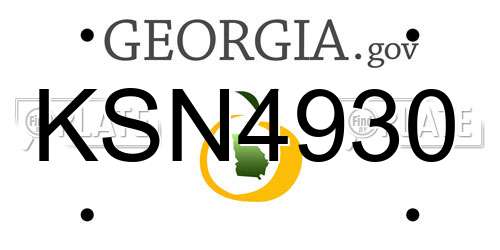 KSN4930 Georgia License Plate