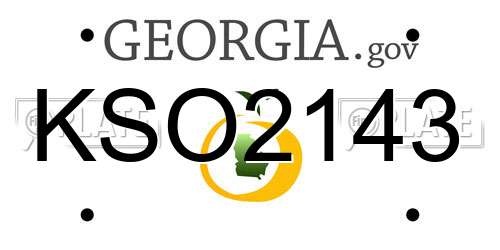 KSO2143 Georgia License Plate