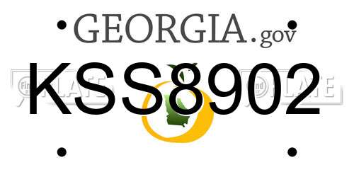 KSS8902 Georgia License Plate