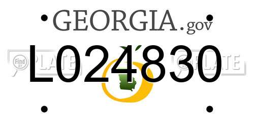 L024830 Georgia License Plate