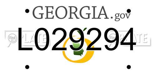 L029294 Georgia License Plate