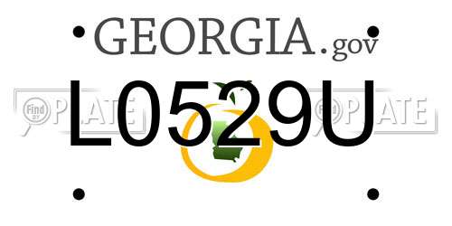 L0529U Georgia License Plate