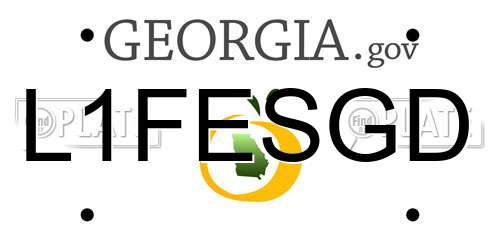 L1FESGD Georgia License Plate