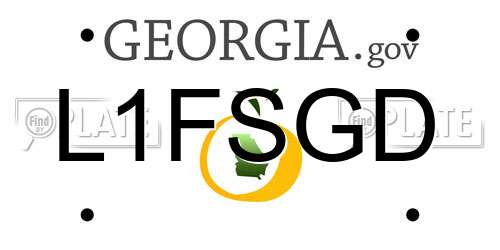 L1FSGD Georgia License Plate