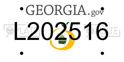 L202516 Georgia License Plate