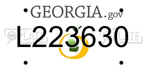 L223630 Georgia License Plate