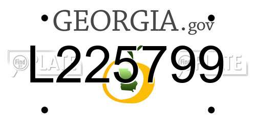 L225799 Georgia License Plate