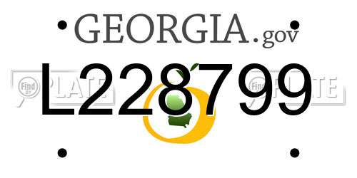 L228799 Georgia License Plate