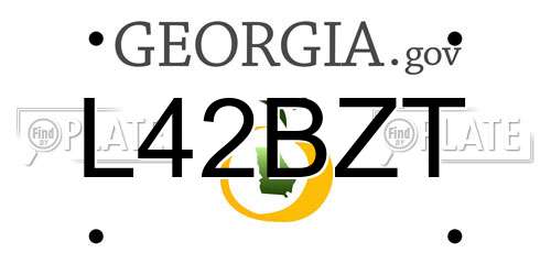 L42BZT Georgia License Plate