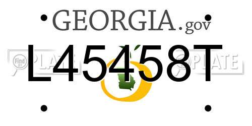 L45458T Georgia License Plate