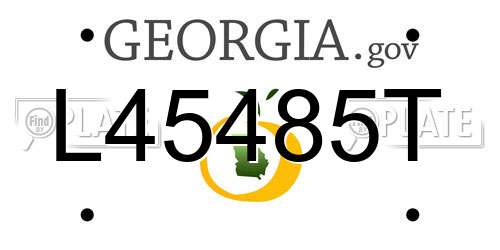 L45485T Georgia License Plate