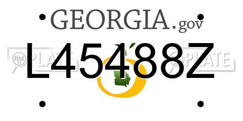 L45488Z Georgia License Plate