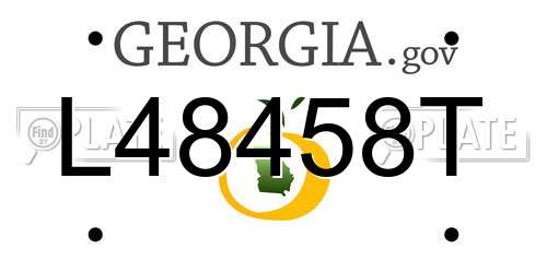 L48458T Georgia License Plate