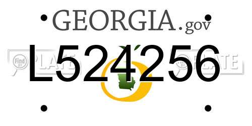 L524256 Georgia License Plate