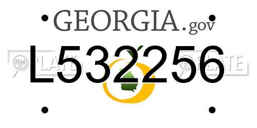 L532256 Georgia License Plate