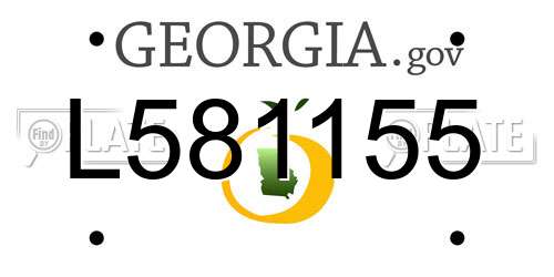 L581155 Georgia License Plate
