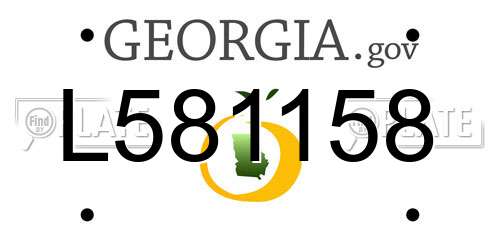 L581158 Georgia License Plate