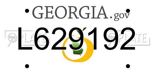 L629192 Georgia License Plate