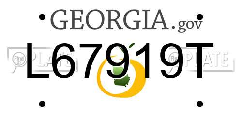 L67919T Georgia License Plate