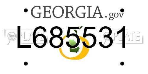 L685531 Georgia License Plate
