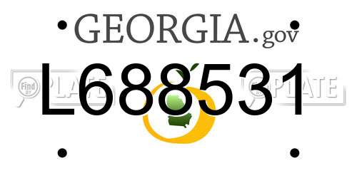 L688531 Georgia License Plate