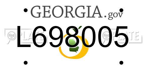 L698005 Georgia License Plate