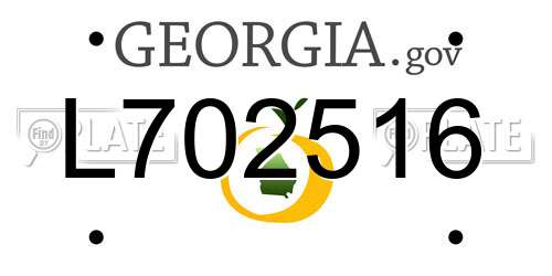 L702516 Georgia License Plate