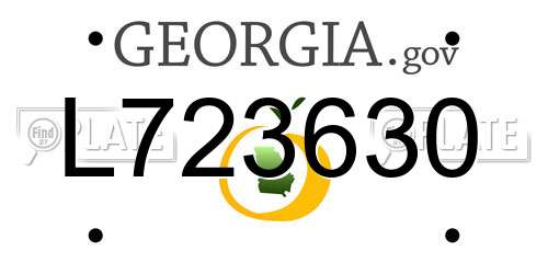 L723630 Georgia License Plate