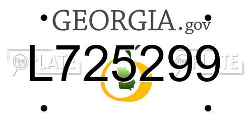 L725299 Georgia License Plate