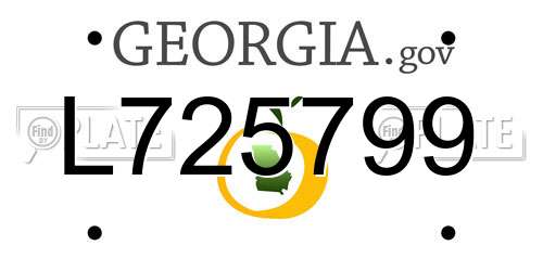 L725799 Georgia License Plate