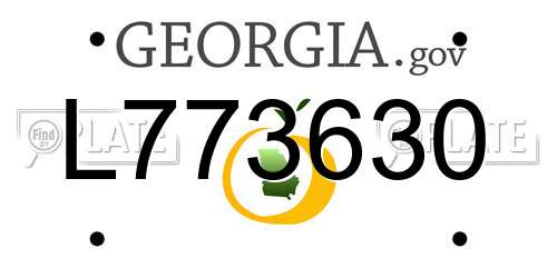 L773630 Georgia License Plate