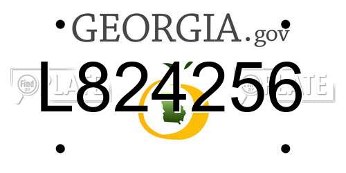 L824256 Georgia License Plate