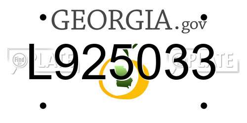 L925033 Georgia License Plate