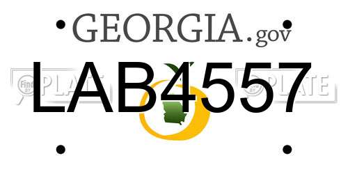 LAB4557 Georgia License Plate