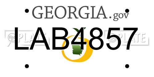 LAB4857 Georgia License Plate