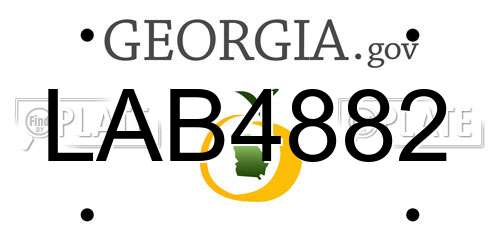 LAB4882 Georgia License Plate