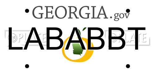 LABABBT Georgia License Plate