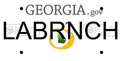 LABRNCH Georgia License Plate