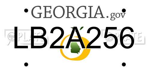 LB2A256 Georgia License Plate