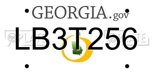 LB3T256 Georgia License Plate