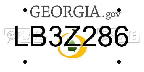 LB3Z286 Georgia License Plate