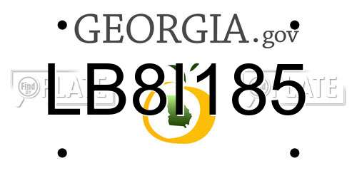 LB8I185 Georgia License Plate