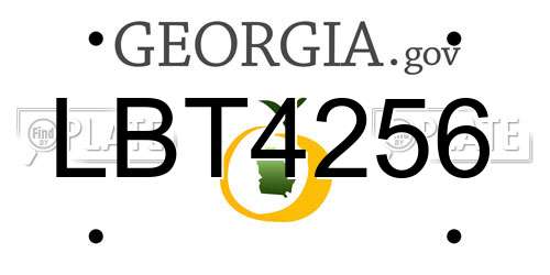 LBT4256 Georgia License Plate