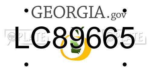 LC89665 Georgia License Plate