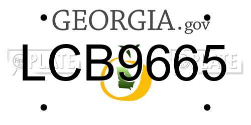 LCB9665 Georgia License Plate